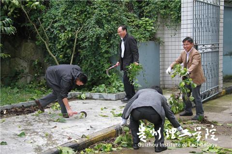 20160324120604498.jpg 2.jpg